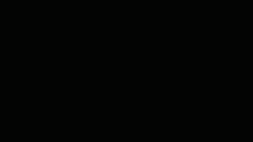 Wall Flip